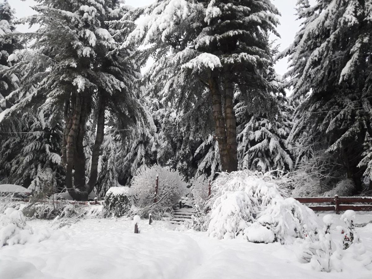 Le Bouquet 3* San Carlos de Bariloche